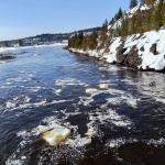 Встречаем весну