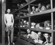 75 лет после Освенцима: Исторический музей представил южноуральцам выставку о Холокосте