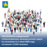В Нязепетровском муниципальном округе установлена численность избирателей на 1 июля 2025 года 